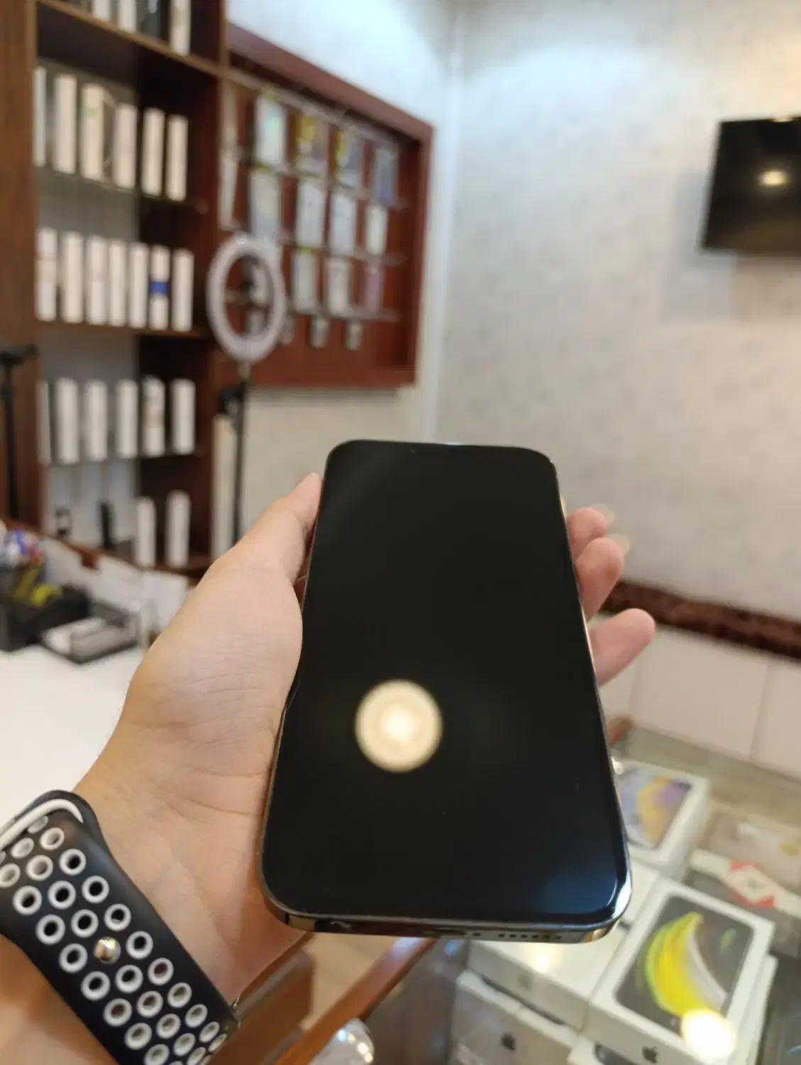 iPhone 13 promax|موبایل|تهران, هروی|دیوار