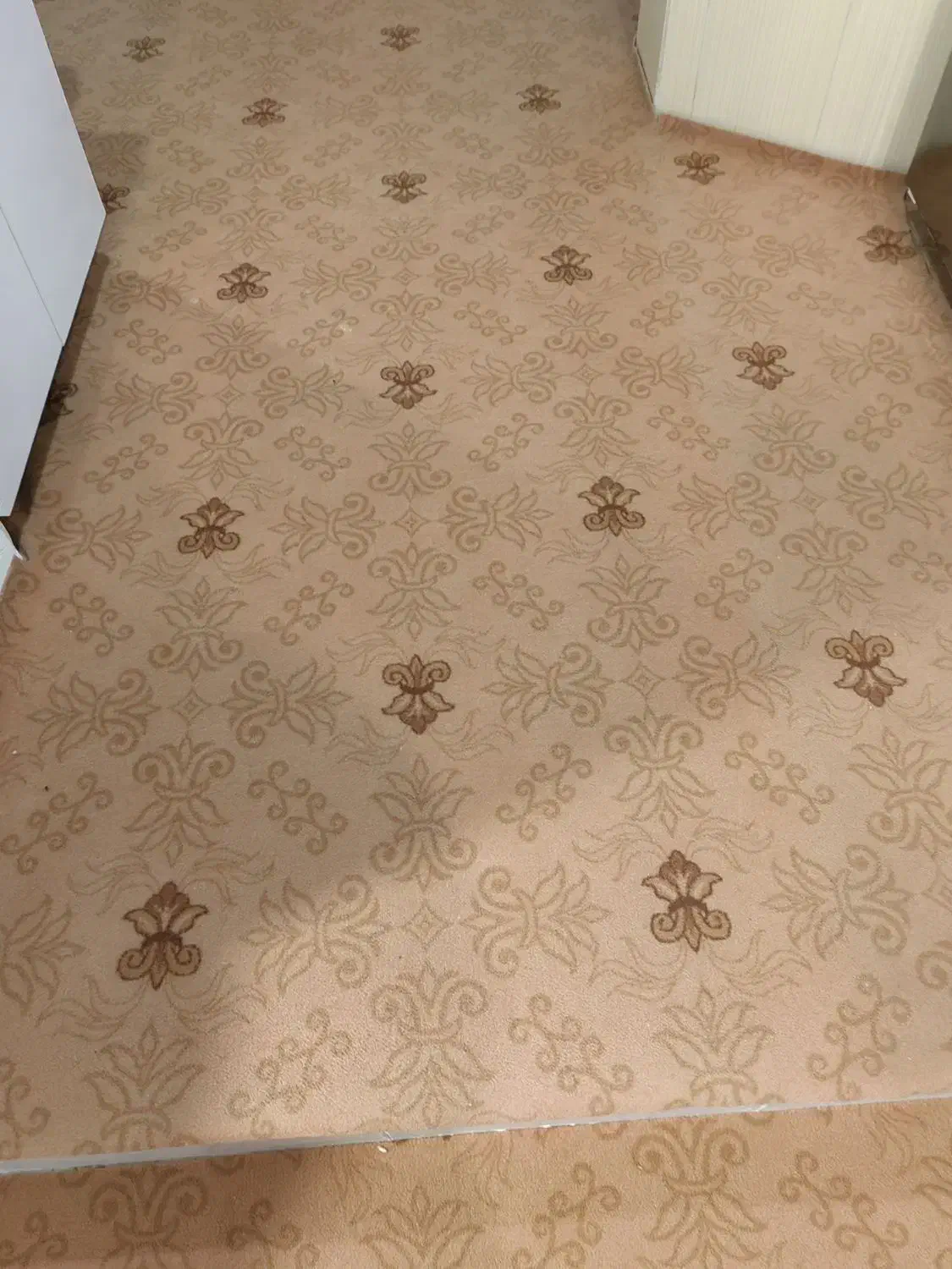 موکت|موکت|علی‌آباد کتول, |دیوار