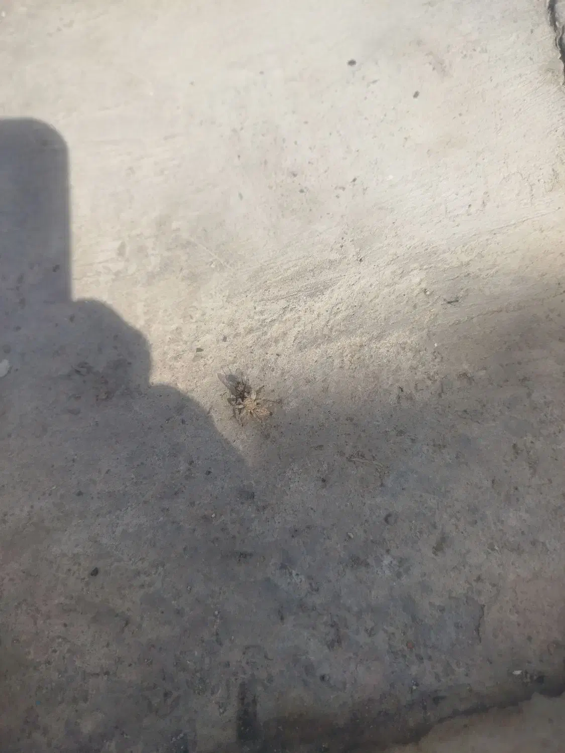 فعالیت داوطلبانه|فعالیت داوطلبانه|تهران, مشیریه|دیوار