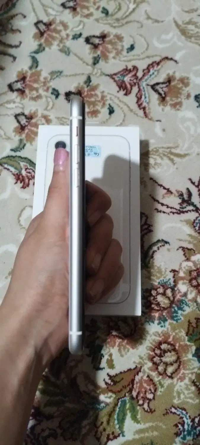 Iphone 11|موبایل|یاسوج, |دیوار