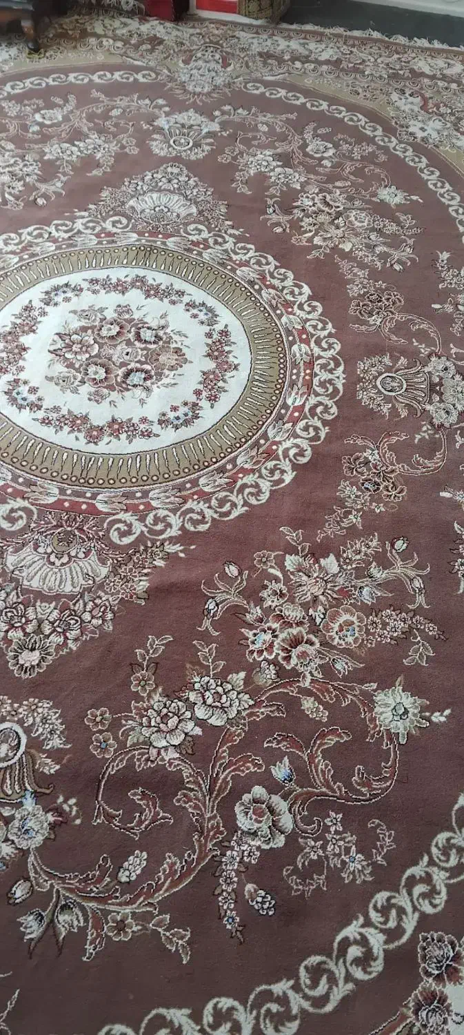 فروش فوری قالی 12متری 12شانه|فرش|تربت جام, حافظ|دیوار