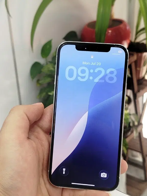 12 pro|موبایل|شیراز, گود عربان|دیوار
