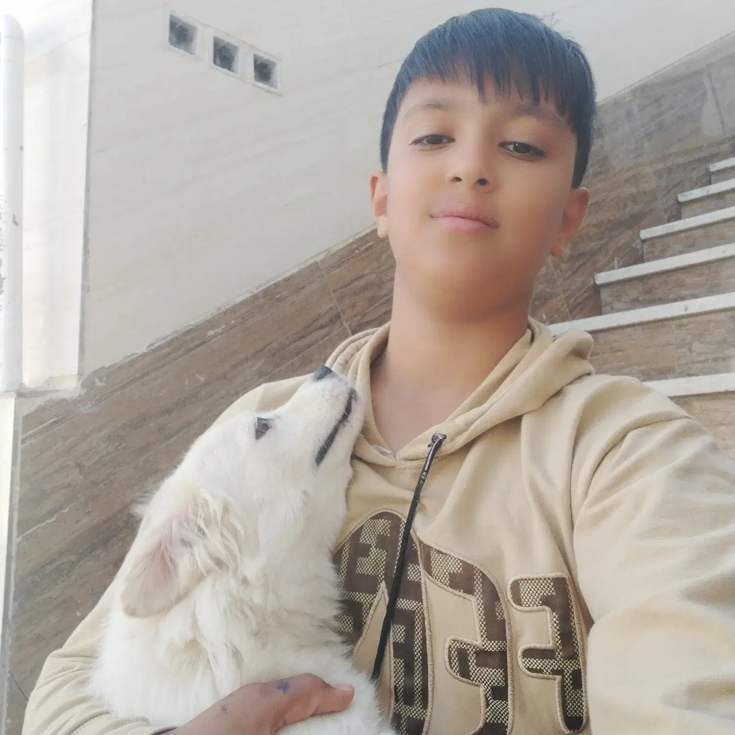 سگ در کاریز گمشده مژدگانی 6 ملیون|حیوانات|تایباد, |دیوار