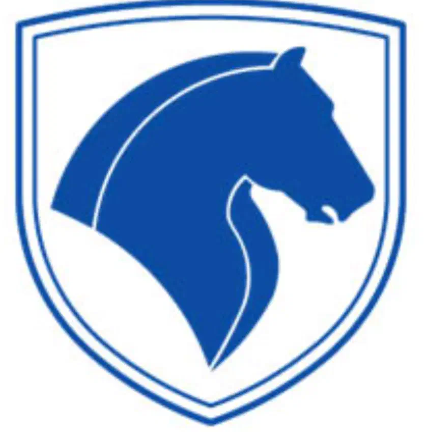 همکار آقا جهت کار در انبار و فروشگاه ایساکو|استخدام صنعتی، فنی، مهندسی|تهران, جوادیه تهرانپارس|دیوار