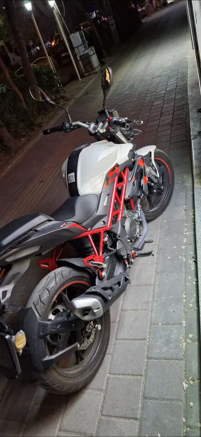 بنلی ۲۵۰ در حد صفره صفر۱۴۰۱|موتورسیکلت|تبریز, |دیوار