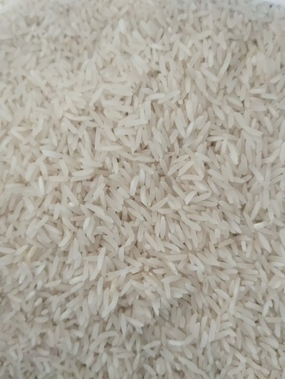 برنج طارم فجر|خوردنی و آشامیدنی|گرگان, |دیوار