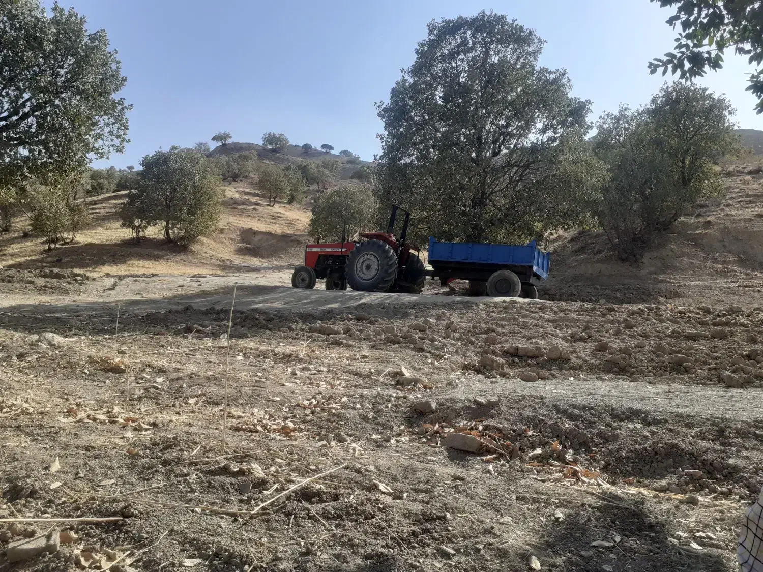 تراکتور فرگوسن ۲۸۵ مدل ۸۳ قیمت با ادوات|خودرو سنگین|کوهدشت, |دیوار