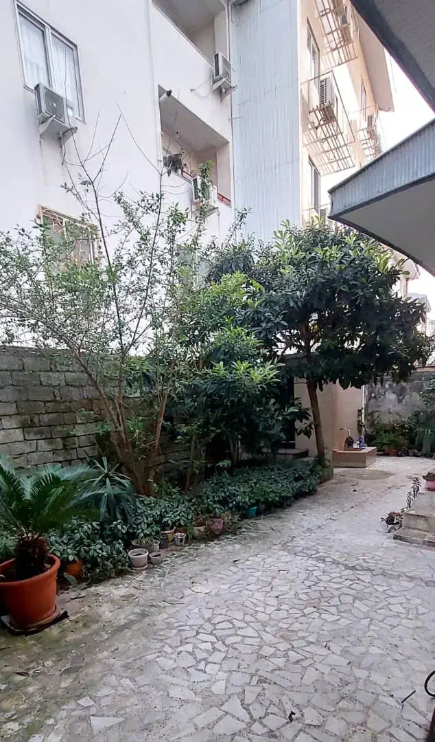 خانه ویلایی ۷۰متر گلسار خ ۱۲۳راه جدا کوچه نهم|اجارهٔ خانه و ویلا|رشت, گلسار|دیوار