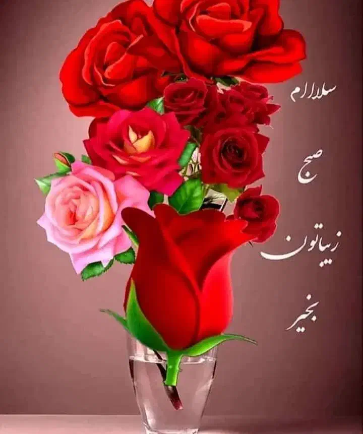 نظافت|خدمات نظافت|نمین, |دیوار