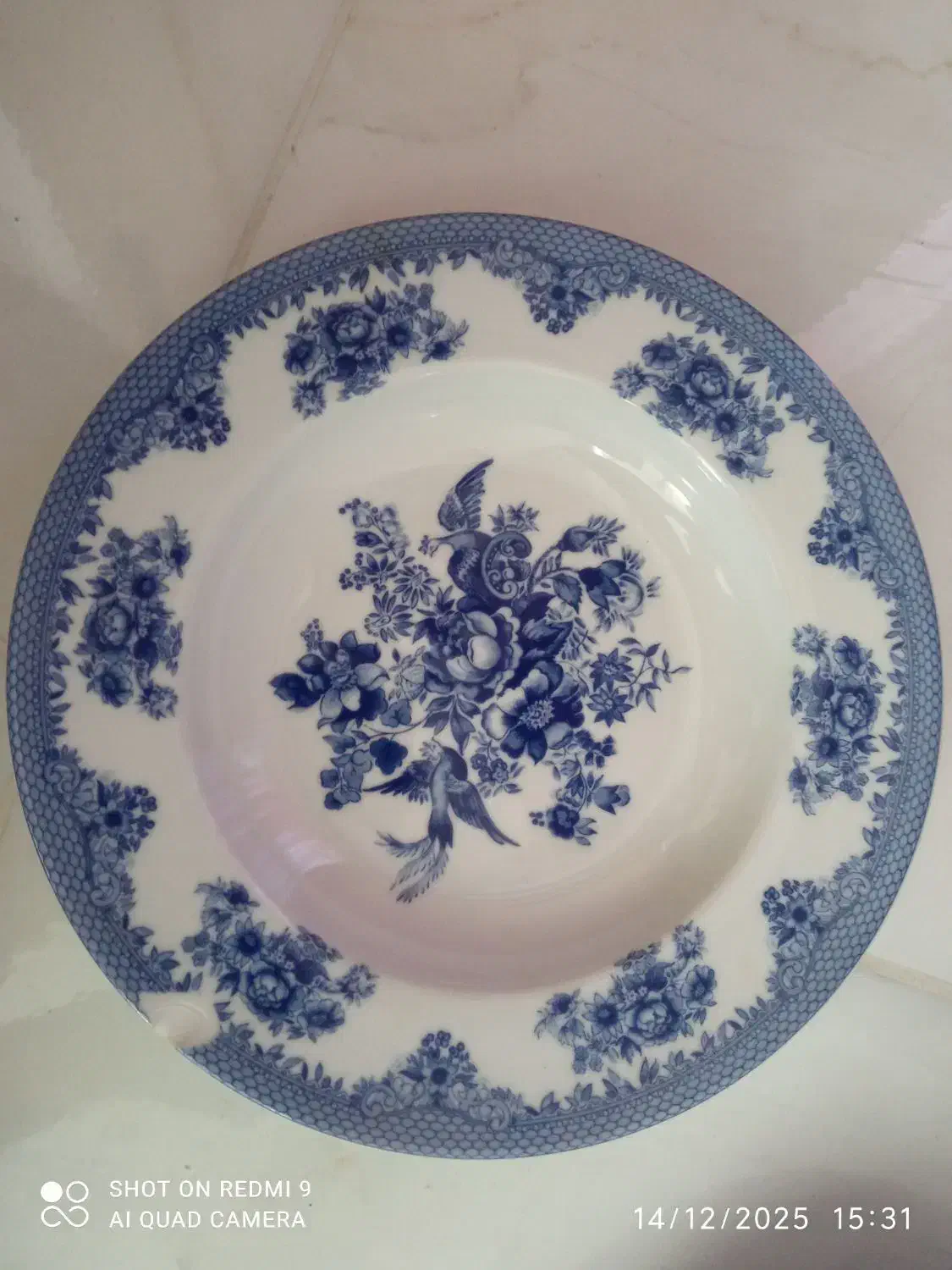 سرویس چینی زرین ایران مدل فلورانس|ظروف سرو و پذیرایی|مبارکه, |دیوار