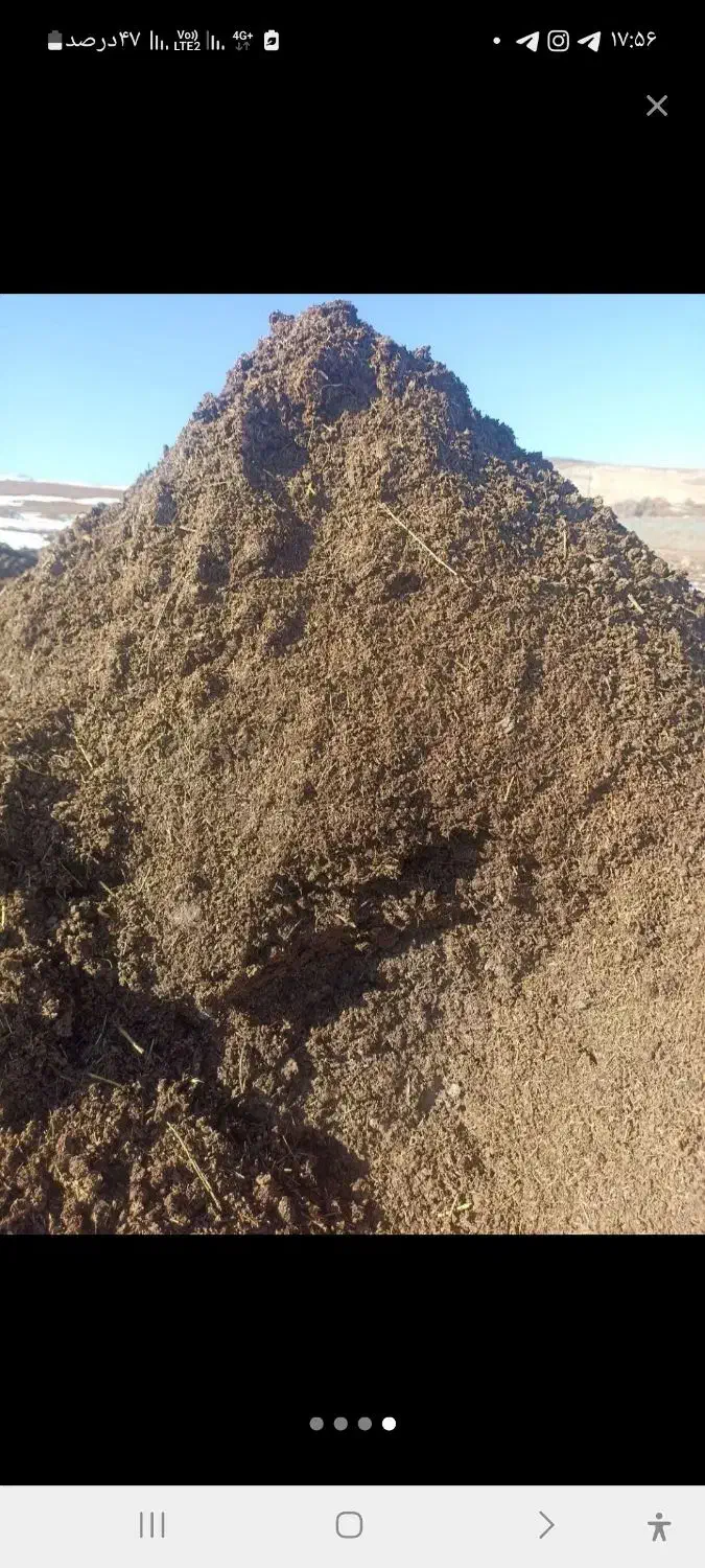 کودحیوانی یا پهین دوساله|خدمات باغبانی و درختکاری|سنندج, |دیوار