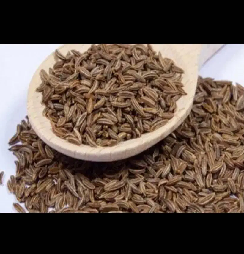 زیره اصل کرمان،درجه یک و عالی، با ۴۰درصد تخفیف|خوردنی و آشامیدنی|خرمآباد, |دیوار