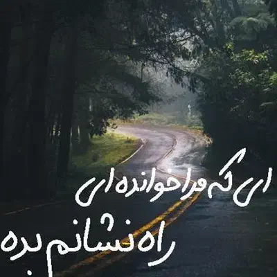 خدایا شکرت|فعالیت داوطلبانه|تهران, پارک شهر|دیوار