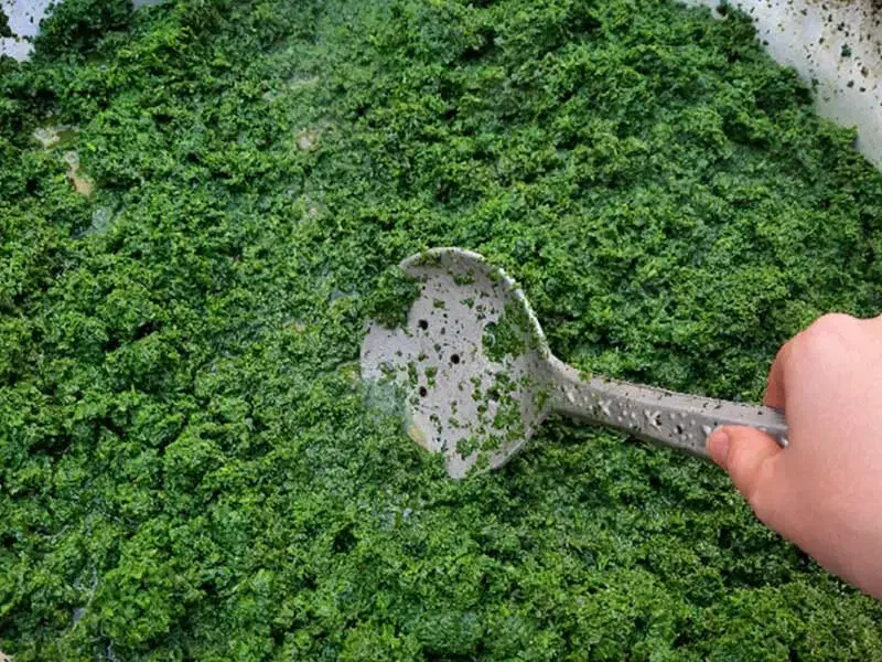 سبزی خورشتی با کیفیت وتازه|خوردنی و آشامیدنی|یاسوج, |دیوار