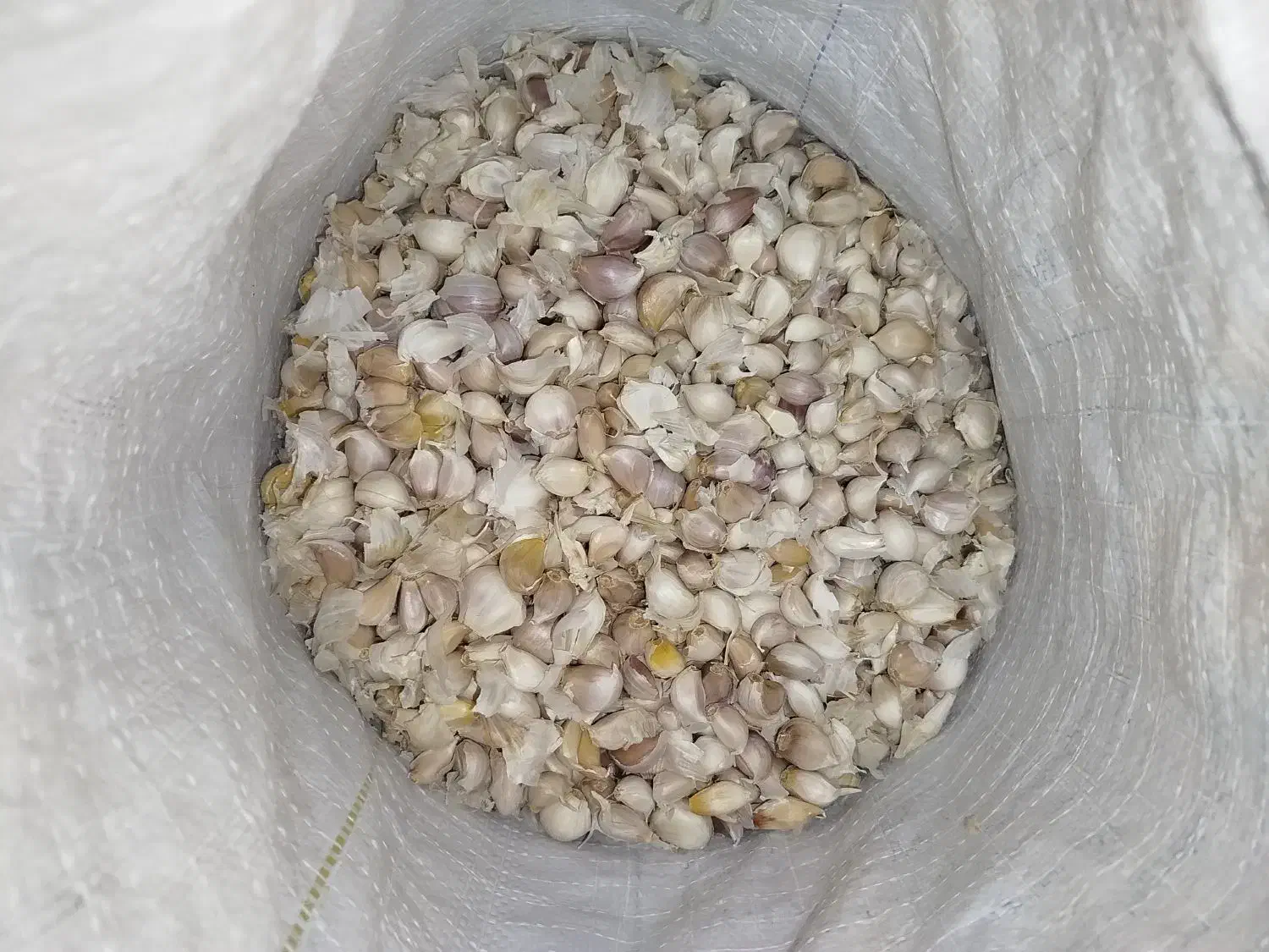 سیر همدان|خوردنی و آشامیدنی|اقبالیه, |دیوار