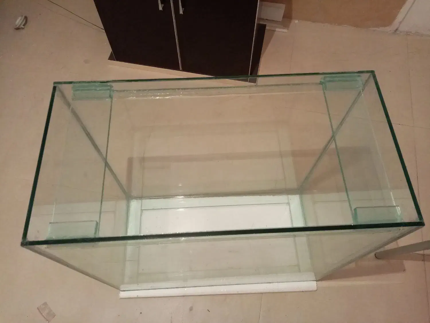 اکواریوم  (ماهی)|ماهی|شیراز, معالی‌آباد|دیوار