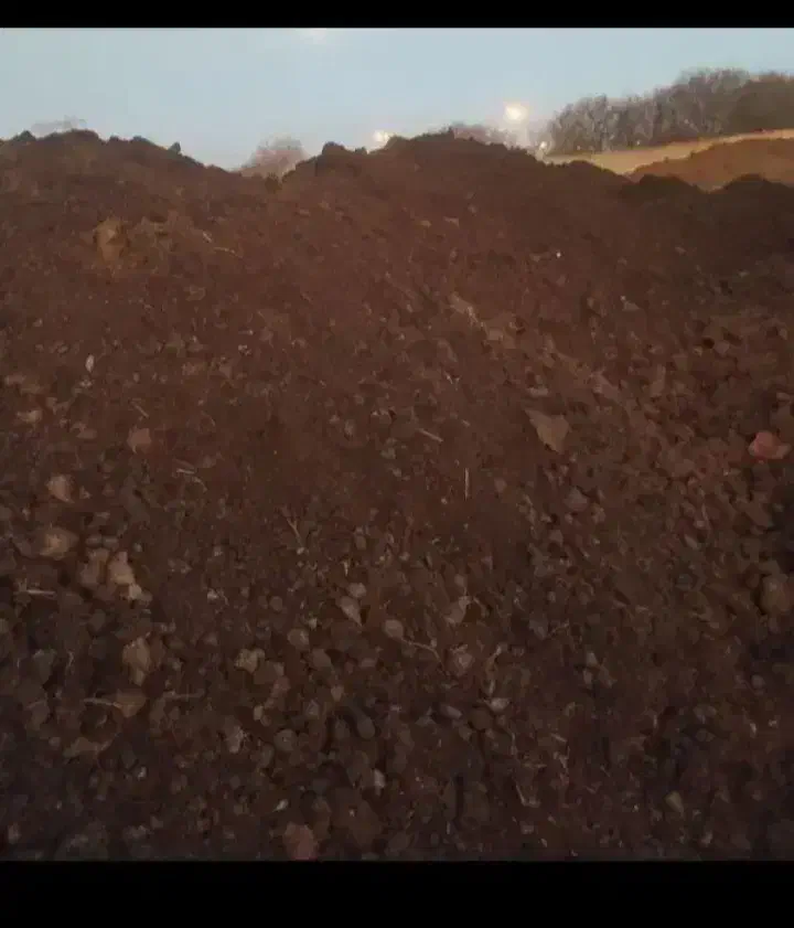 کود حیوانی چند ساله|خدمات باغبانی و درختکاری|فیروزآباد (لرستان), |دیوار