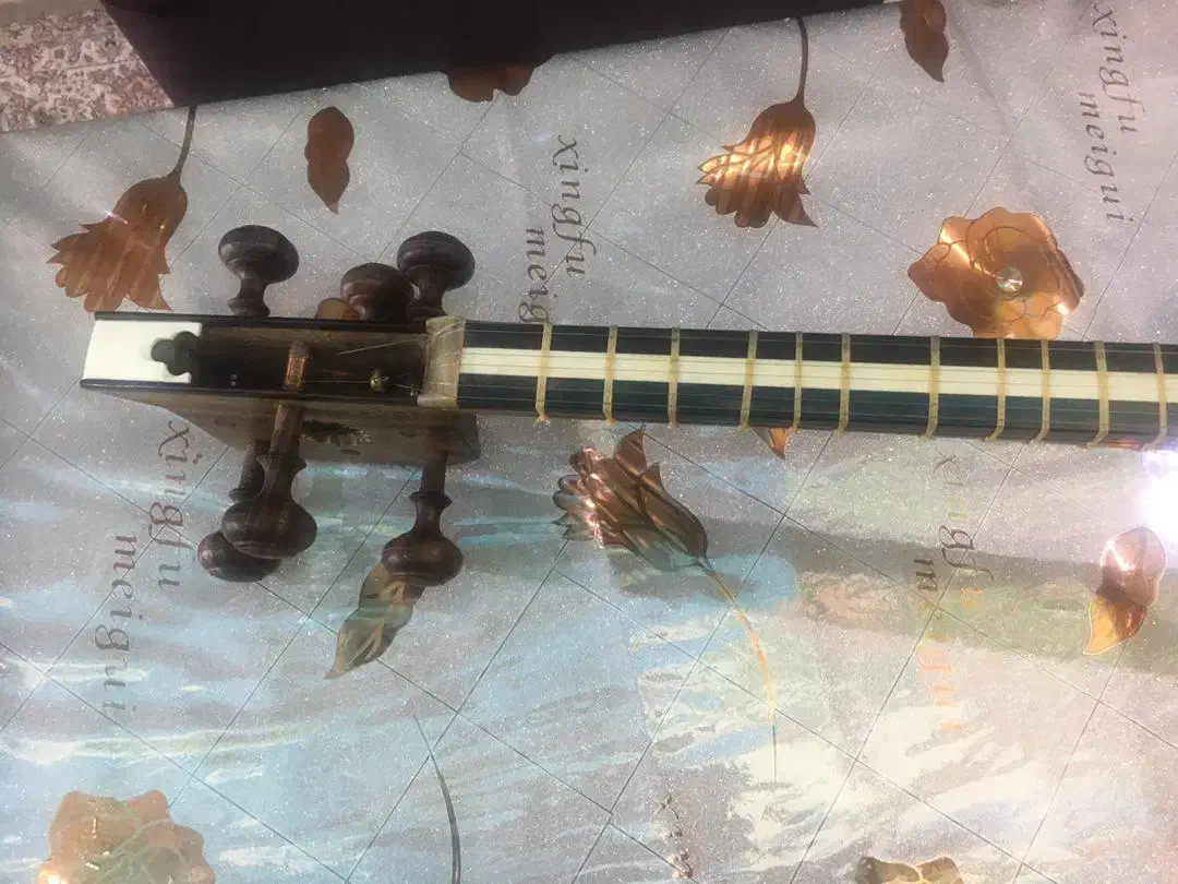 تار حرفه ای خجسته|سازهای سنتی|کرمان, |دیوار