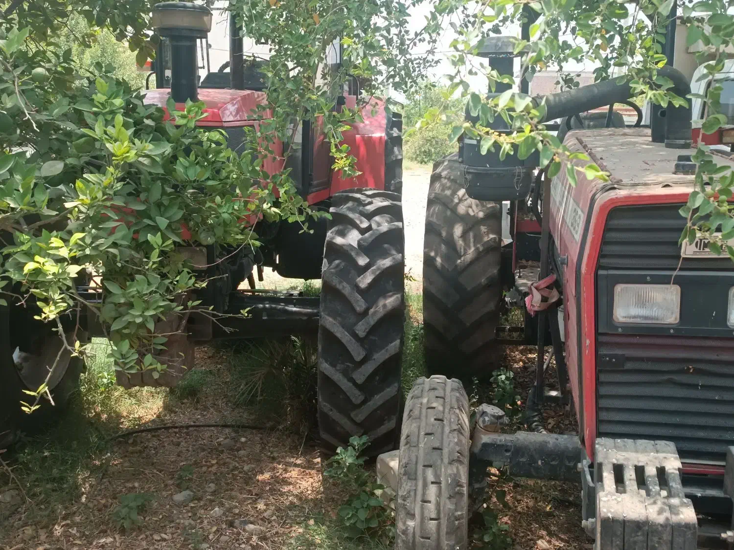 تراکتور سام 150 کرمان 399 285 475|خودرو سنگین|تربتحیدریه, فرمانداری|دیوار