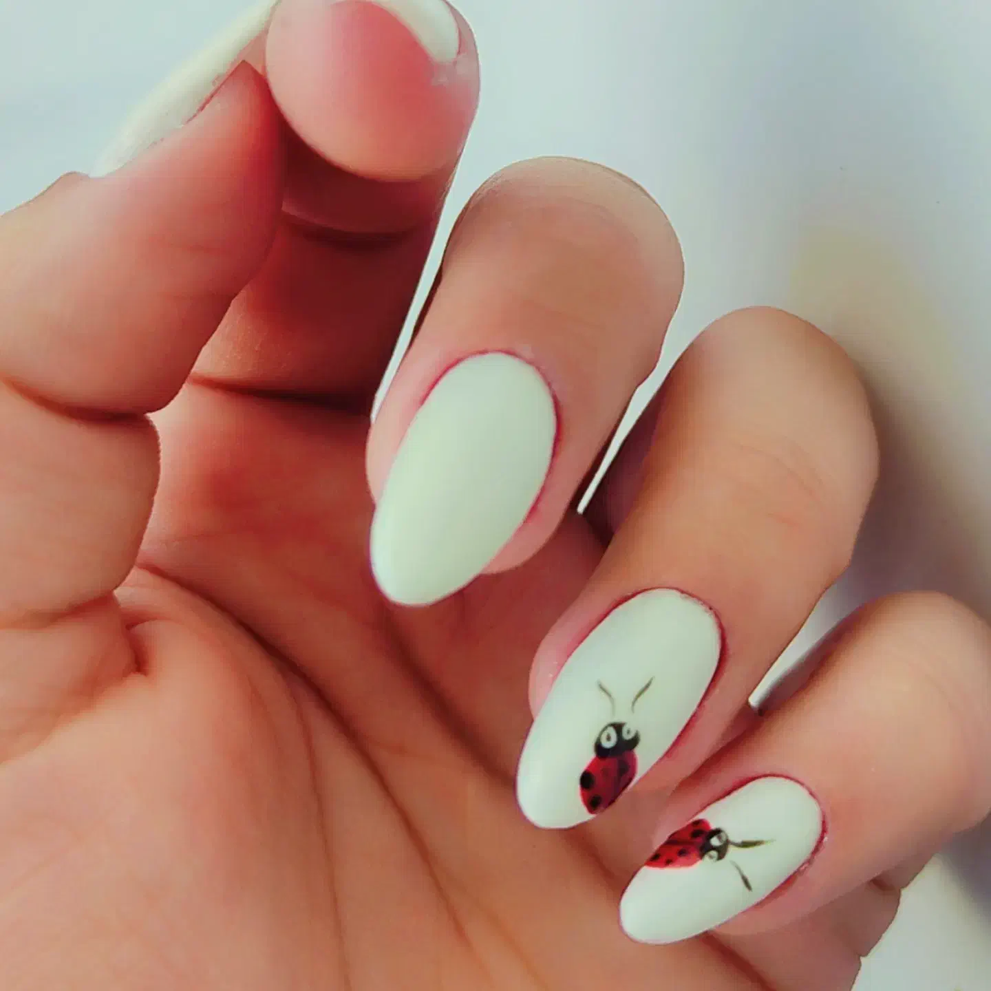 ارائه با کیفیت خدمات کاشت ناخن با سالن تک چهره|خدمات آرایشگری و زیبایی|بروجن, |دیوار