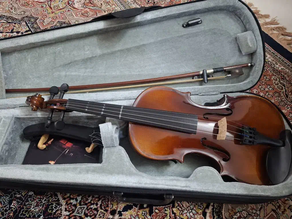 ویالون tf student اصلی 2/4|ویولن|اصفهان, باغ دریاچه|دیوار