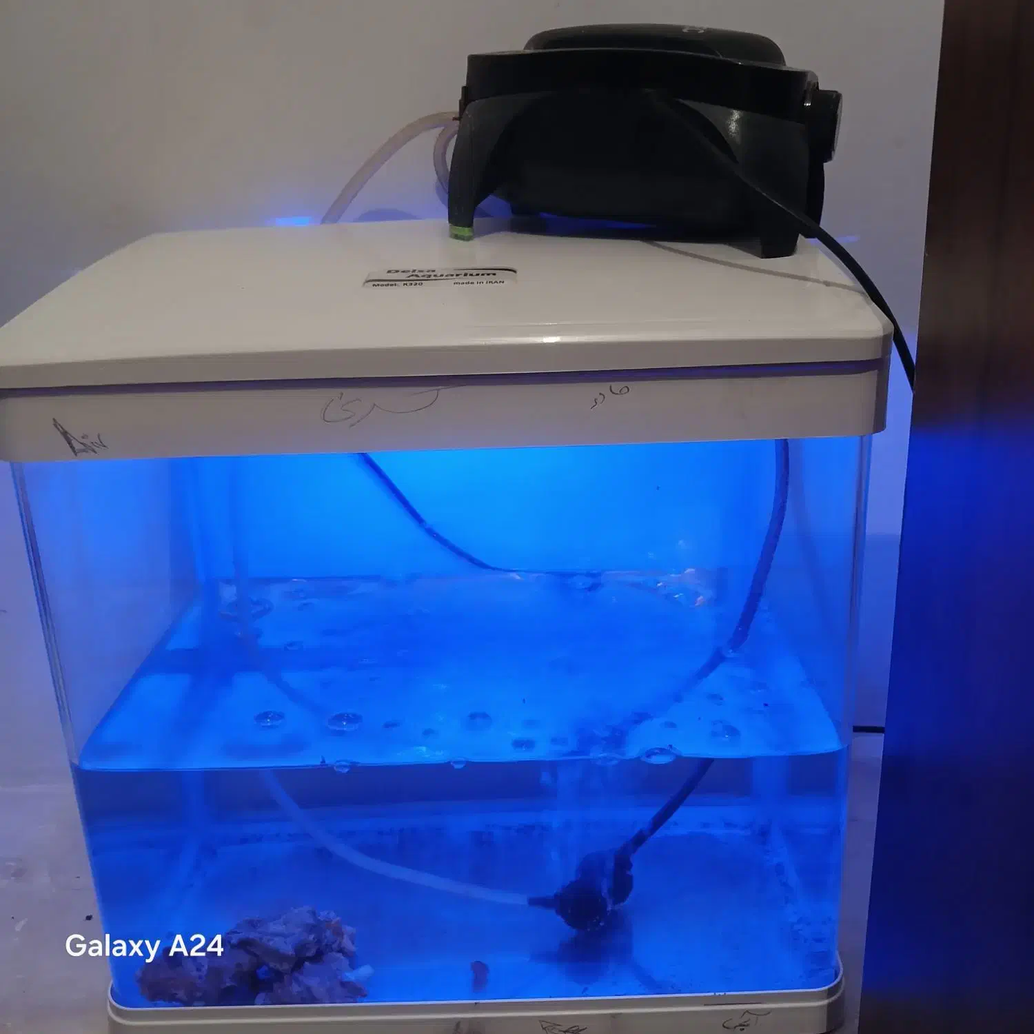 اکواریوم. درسال شرکتی|ماهی|مرودشت, ابوذر جنوبی|دیوار