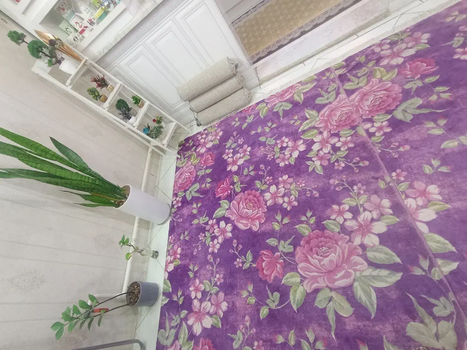 فرش شش متری2500|فرش|قم, ناصردیوان|دیوار