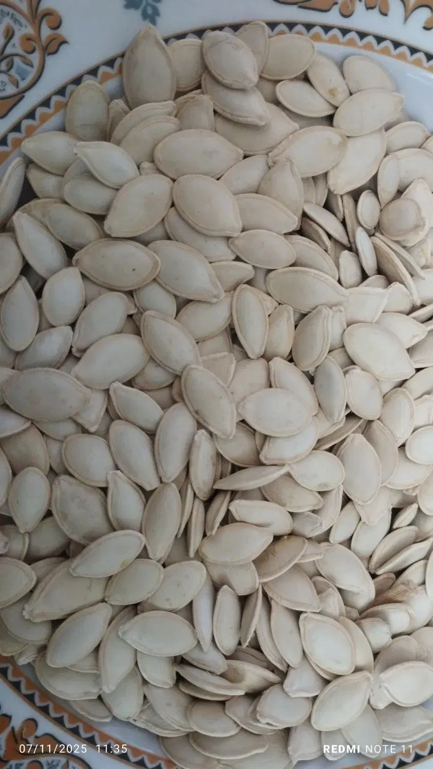 کدو گوشتی درجه یک|عمدهفروشی|سده (فارس), |دیوار