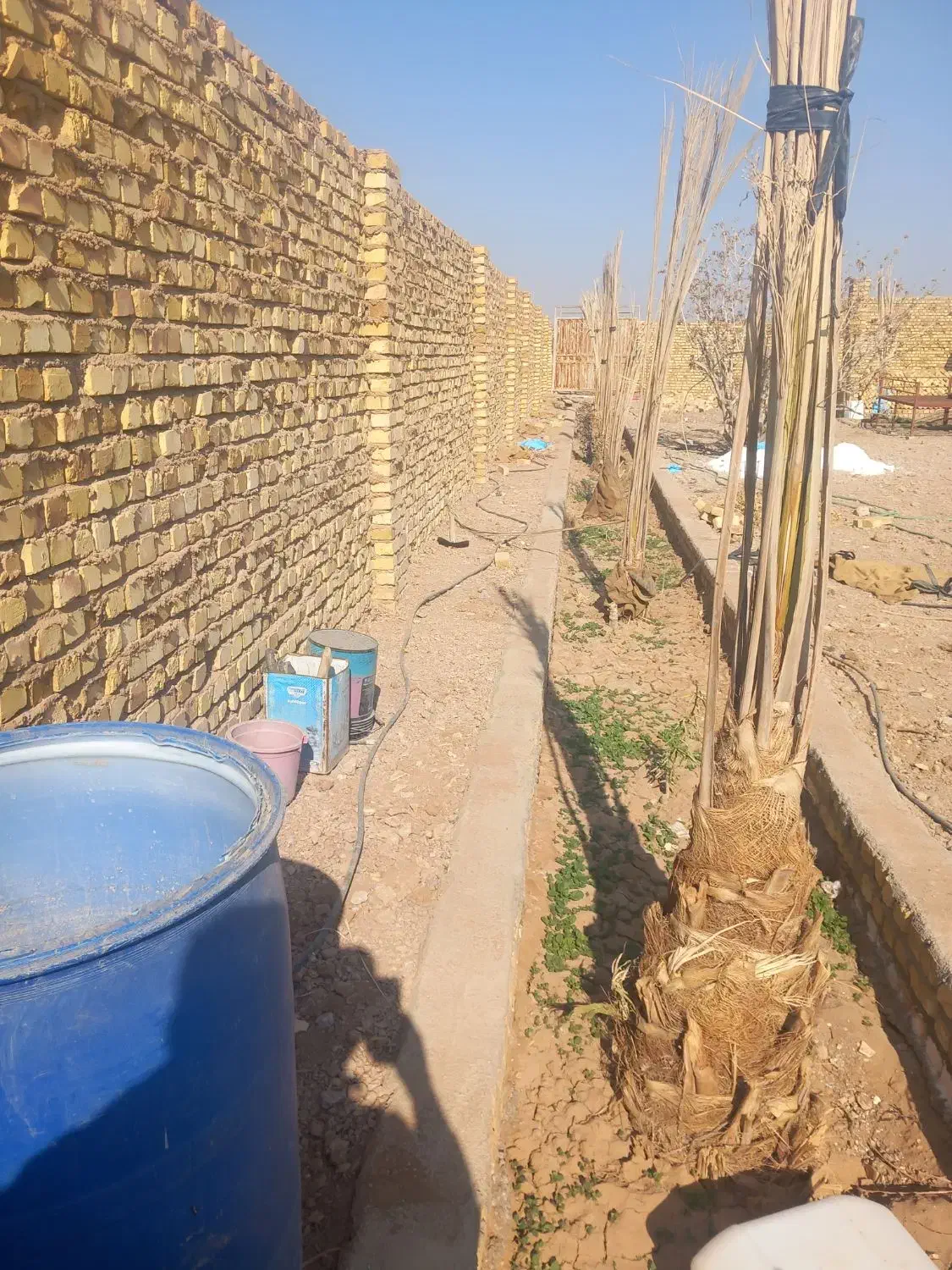 باغ چهار دیواری|فروش خانه و ویلا|اردکان, |دیوار