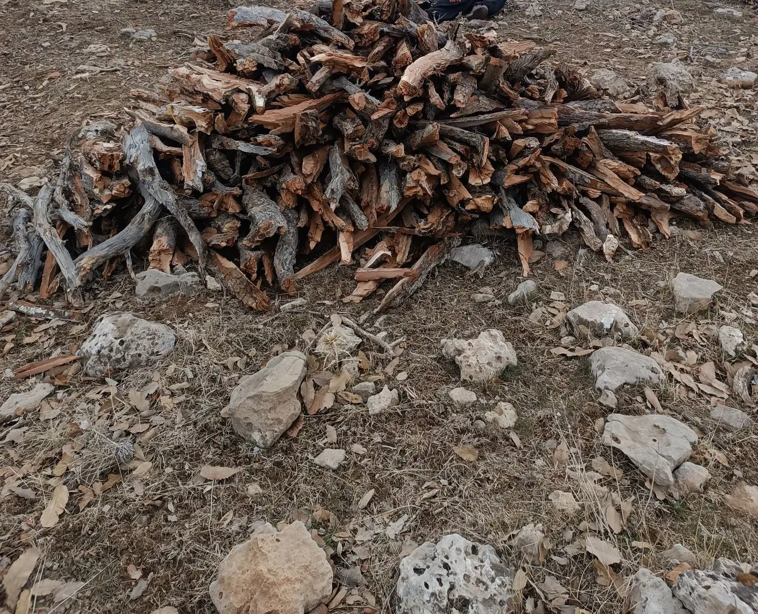 هیزم شکسته درجه یک|خدمات باغبانی و درختکاری|آبدانان, |دیوار