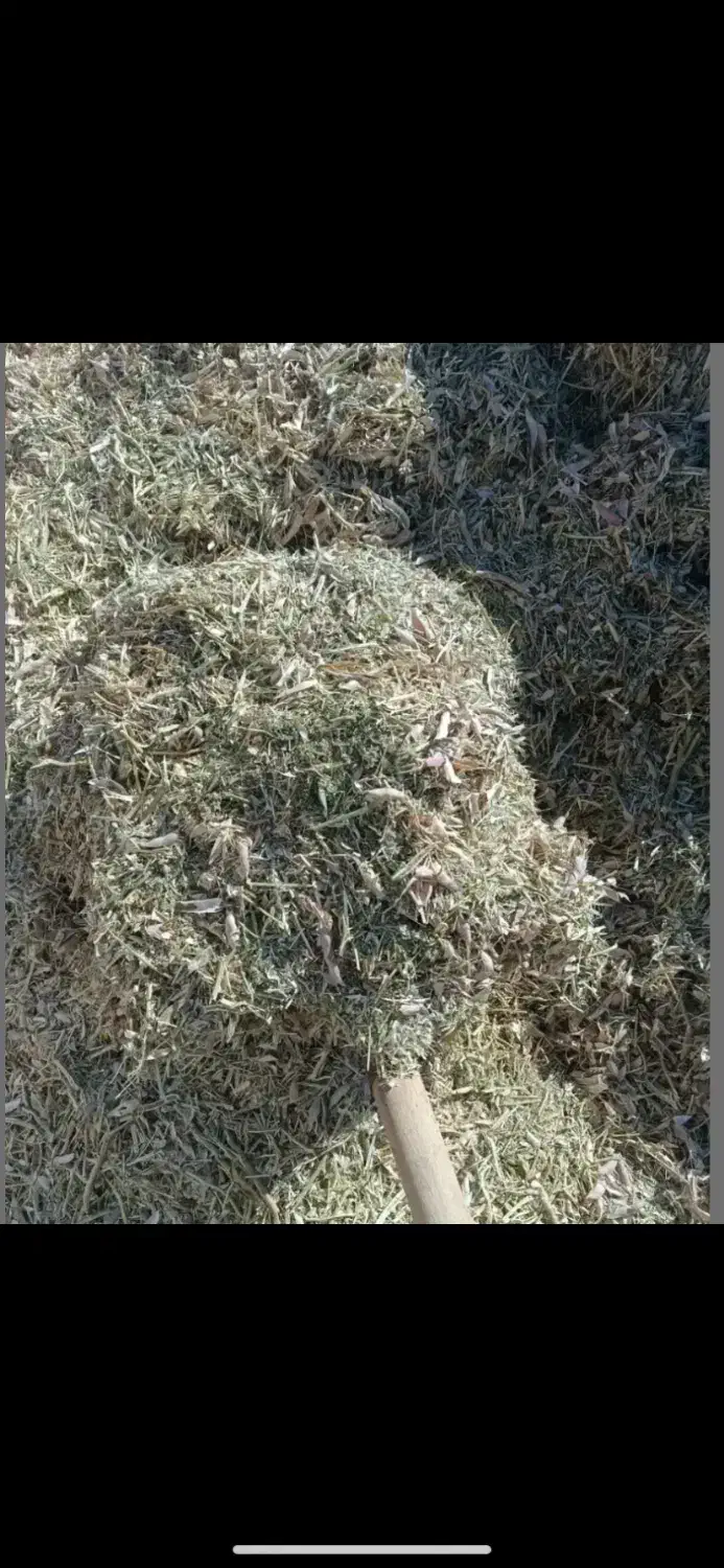 کاه لوبیا|لوازم جانبی حیوانات|مرودشت, ابوذر شمالی‎|دیوار