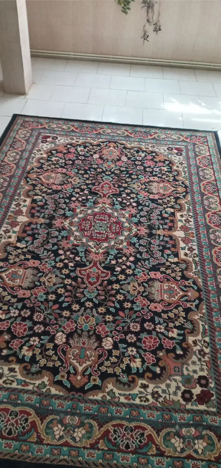 گلیم|گلیم، جاجیم، گبه|قزوین, |دیوار