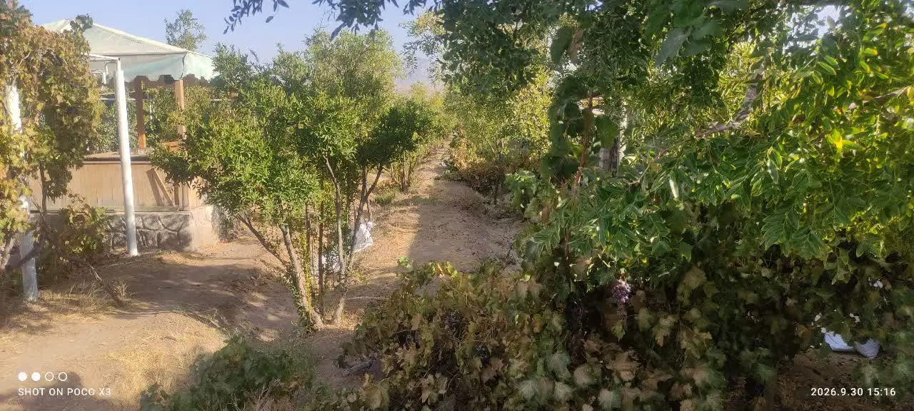 تصویر 3