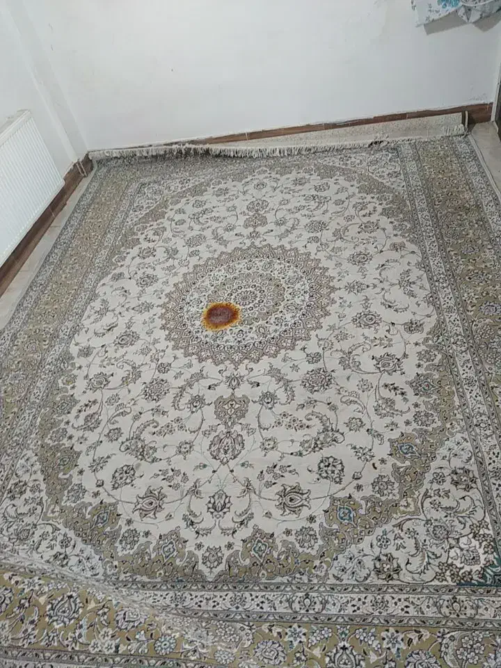 فرش  12درجه یک 500شانه|فرش|صدرا-فارس, فاز ۱|دیوار