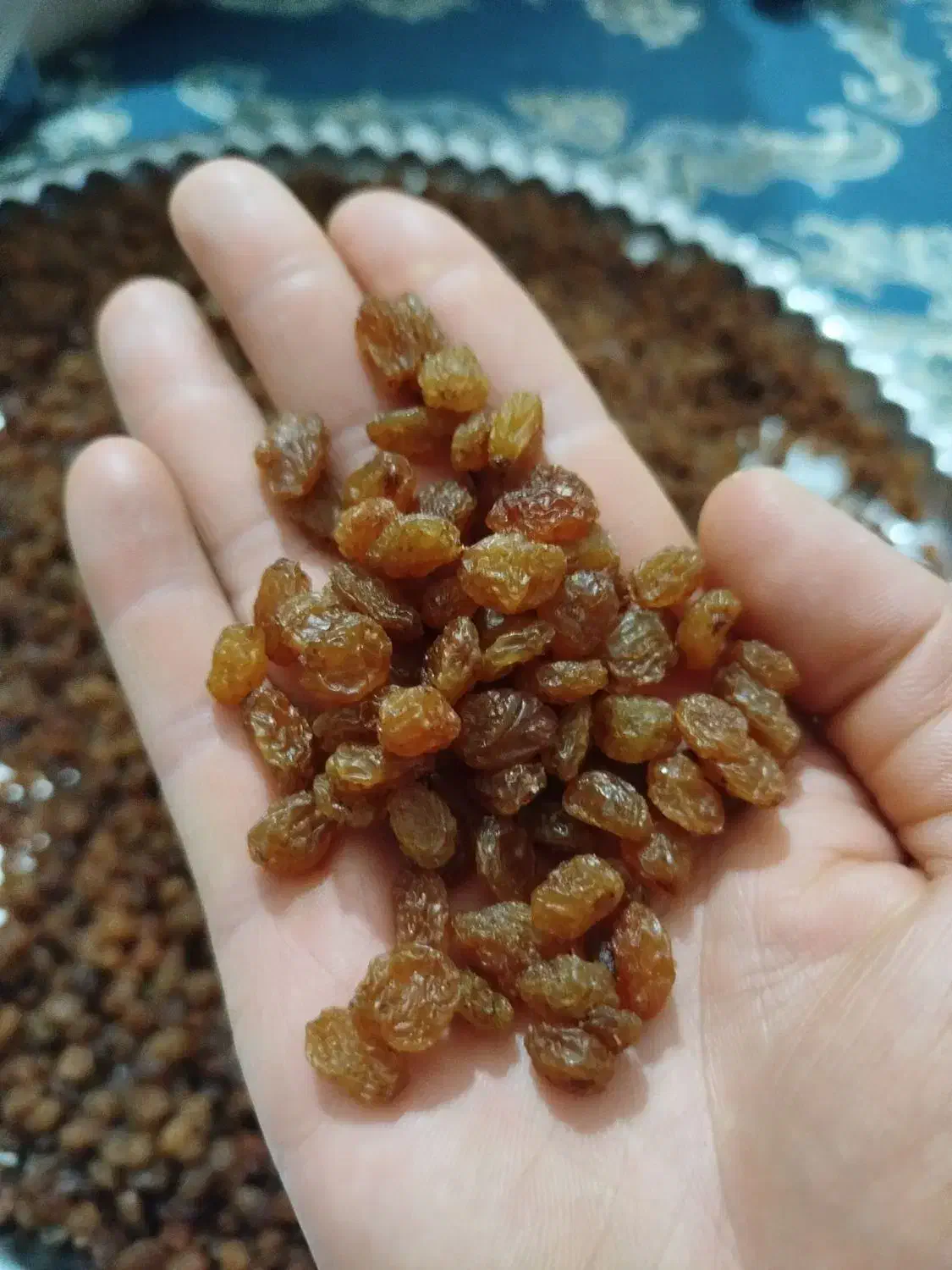 کشمش زرد و طلایی|خوردنی و آشامیدنی|شیروان (خراسان), |دیوار