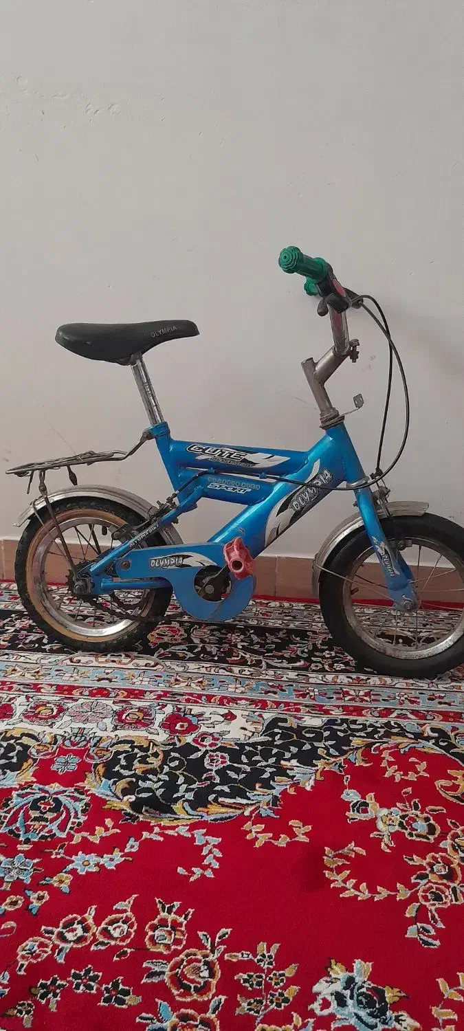 دوچرخه ۱۲|دوچرخه، اسکیت، اسکوتر|مشکیندشت, |دیوار