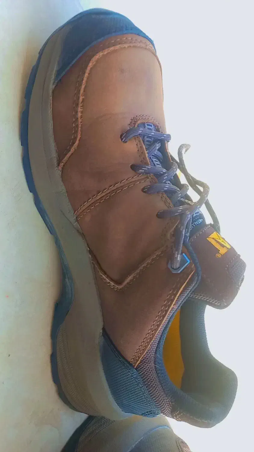 کفش|کیف، کفش، کمربند|قشم, |دیوار