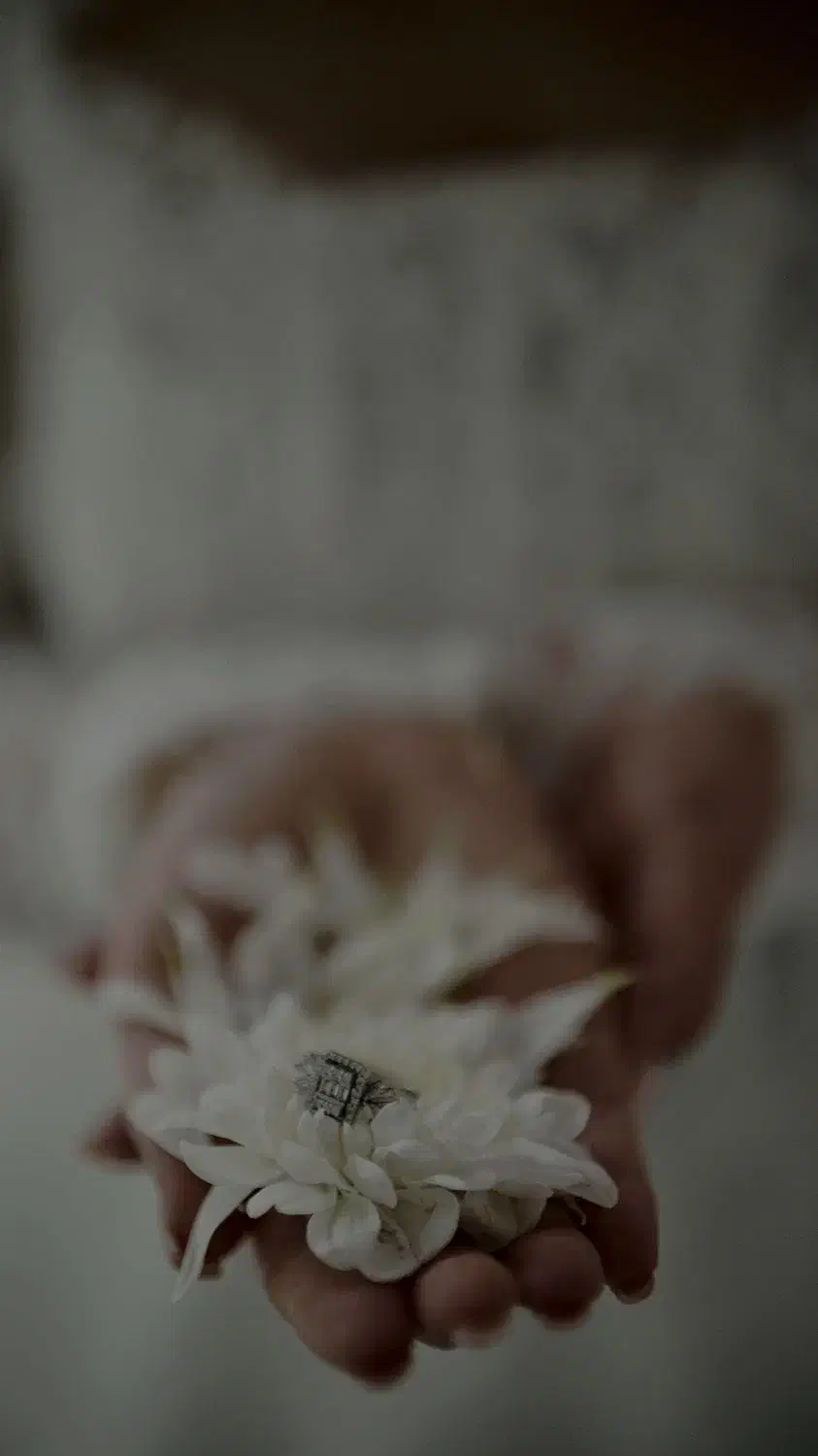 عمارت عکس راز|خدمات پذیرایی، مراسم|پرهسر, |دیوار