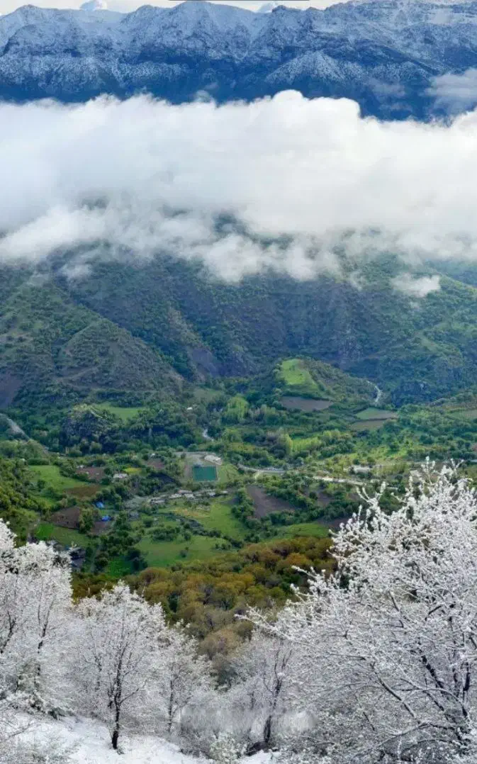 زمین شهرکی واصفجان|فروش زمین و ملک کلنگی|پردیس, واصفجان|دیوار