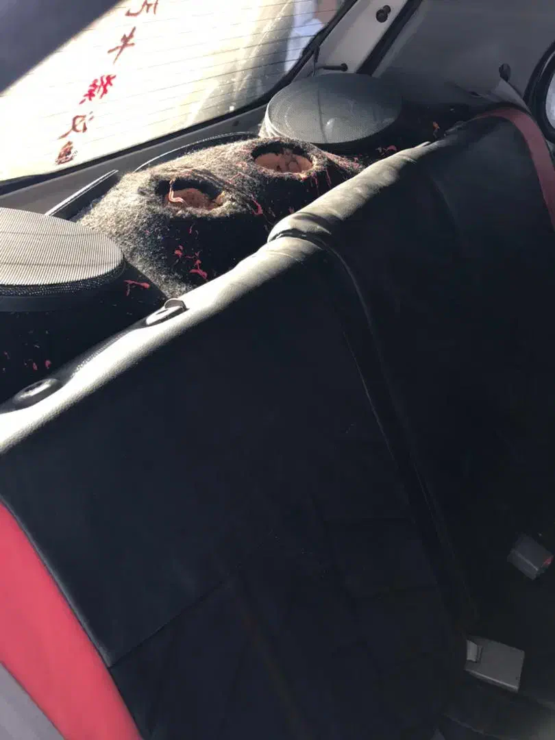 تیبا 2|خودرو سواری و وانت|زاهدان, |دیوار