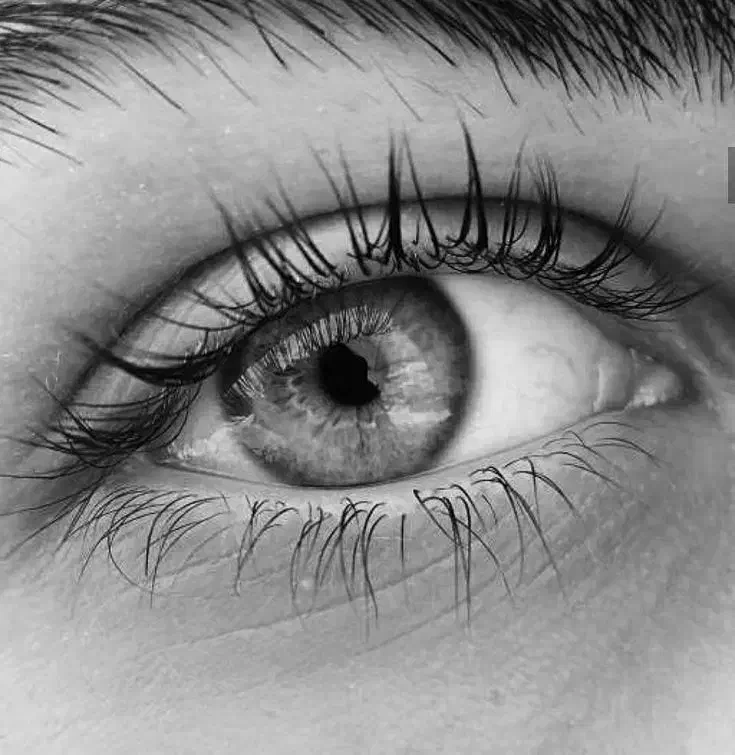 طراحی چهره|تابلو، نقاشی، عکس|تاکستان, |دیوار