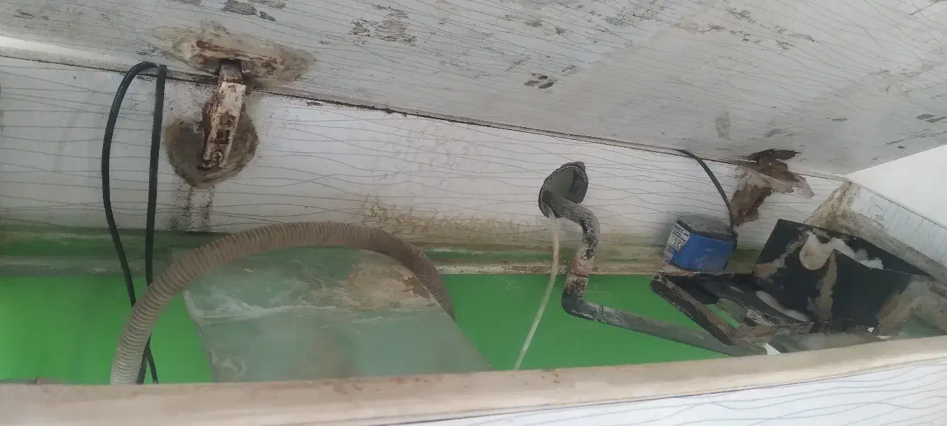 اکواریوم|ماهی|رودهن, |دیوار