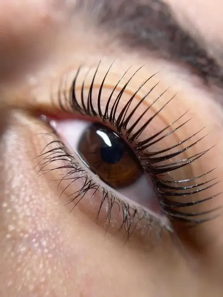 فیشال پوست لیفت مژه کراتین لیفت ابرو میکروبلیدینگ|خدمات آرایشگری و زیبایی|نیشابور, دارایی|دیوار