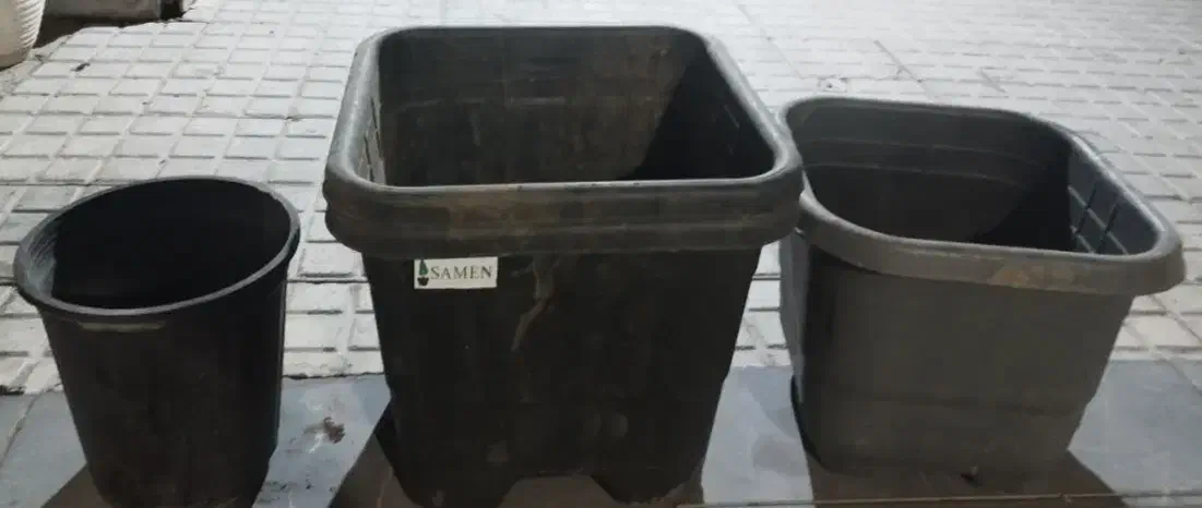 گلدان پلاستیکی|گل و گیاه طبیعی|تهران, تهرانپارس شرقی|دیوار