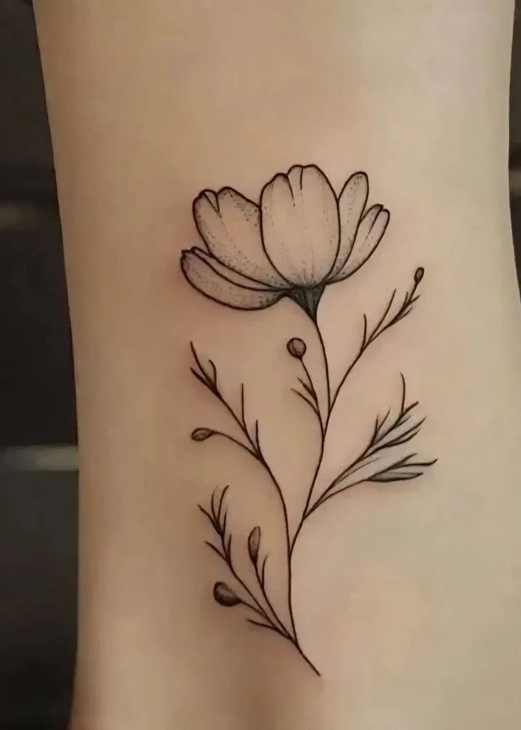 اجرا و آموزش تتو بدن|خدمات آرایشگری و زیبایی|میبد, |دیوار