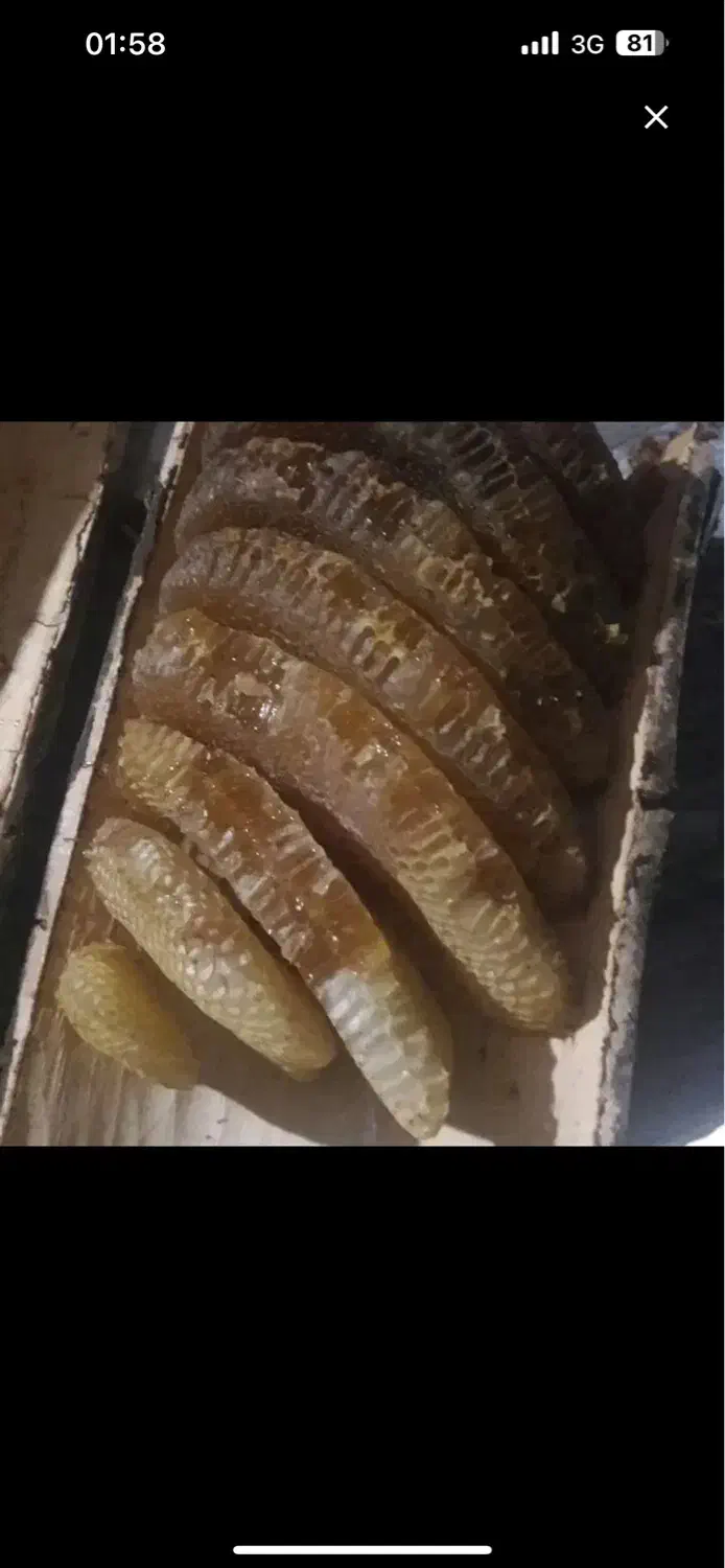 عسل طبیعی|خوردنی و آشامیدنی|نقده, |دیوار