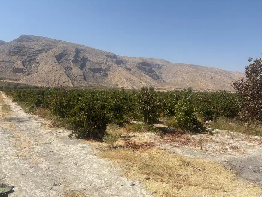 باغ شهر|فروش آپارتمان|شیراز, کوشک بیدک|دیوار