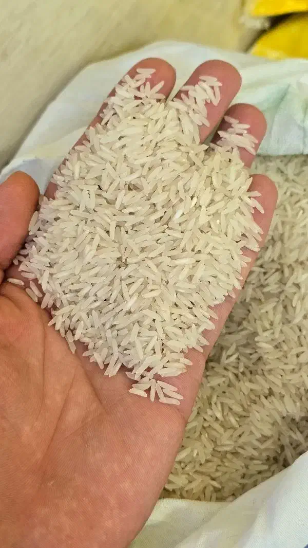 برنج هاشمی پر محصول|خوردنی و آشامیدنی|تبریز, |دیوار