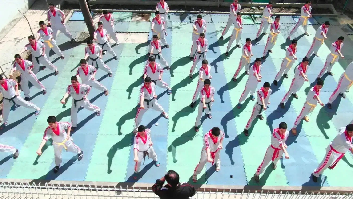 جذب مربی فعال بانوان در رشته های رزمی|خدمات آموزشی|کرمان, |دیوار