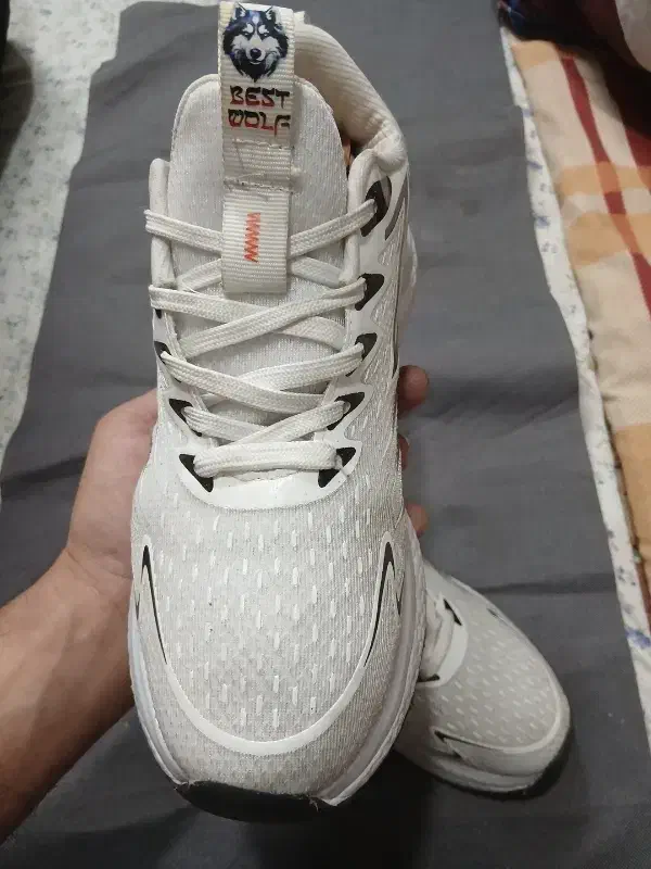 کتونی وولف WOLF اورجینال 43|کیف، کفش، کمربند|بومهن, |دیوار